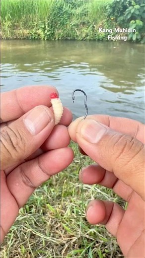 How Experienced Anglers Attach Bait for Better Hook-Ups👍👍 #fishing #fishingtips #bassfishing
