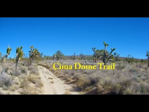 Cima Dome Trail Mojave Preserve