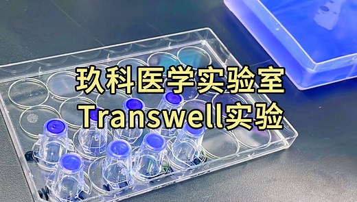 玖科医学实验室 Transwell实验