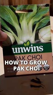 Start Your Pak Choi Seedlings Right 🌱 Easy Step-by-Step