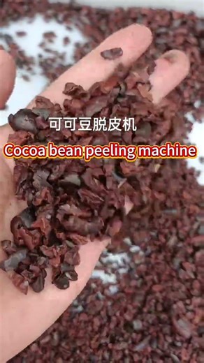 Cocoa Bean Peeling Machine: Efficient Shell Removal for Nib Processing. #peeling #peelingmachine