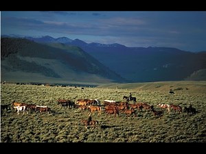 Laramie River Dude Ranch