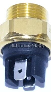 video 1 MANAU RADIATEUR