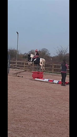 keen Penny taking her own strides tonight...ping! #equestrian #ponies #jumping #fun