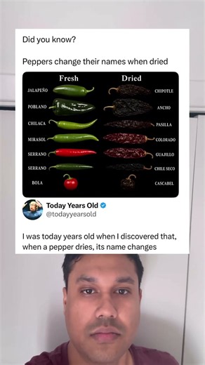 This Chart Shows What Peppers Are Called When Dried #TIL
