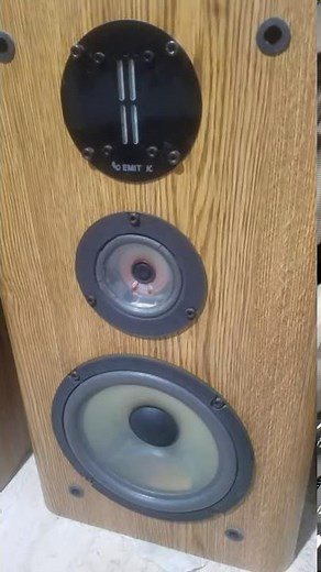 Vintage Infinity RS-4000 Speakers Tested 20201124 193805