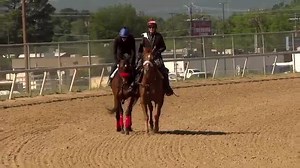 Saturday's feature Keeneland is the G2 Lexus Raven Run! Join us live on TVG to see if Venetian Harbor brings her A-game to hold off Four Graces! Race 9, 5:30PM ET | FanDuel Racing