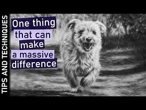 Realistic dog drawing in graphite | Full background