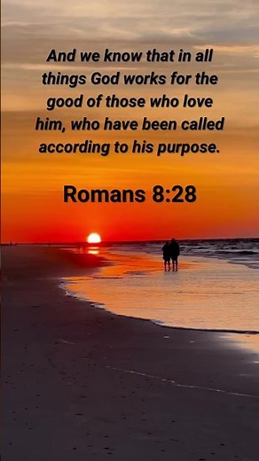 Romans 8:28 Daily Bible Verse