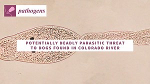 130K views · 118 reactions | Researchers reveal the presence of a...