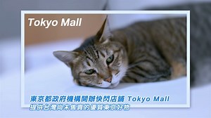 喜愛日本的大家，這次要來跟大家推薦一個日本快閃店鋪啦！各式各樣台灣看不到的小物，都在「Tokyo Mall」，還有美妝、日常用品、玩具配件等等，為台灣消費者和採購廠商提供台灣尚未售賣的優質日本好物。商品都是從日本直接郵寄到台灣，下單後2-3天就會出貨喔！還不趕快買起來～ | Xargon
