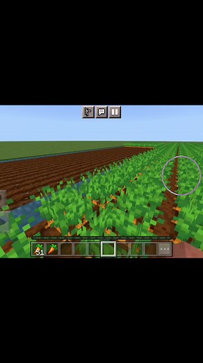 #fyp #carrot #minecraft #майнкрафт