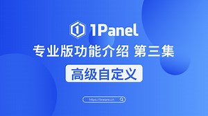 1Panel 专业版功能介绍 第三集 | 高级自定义