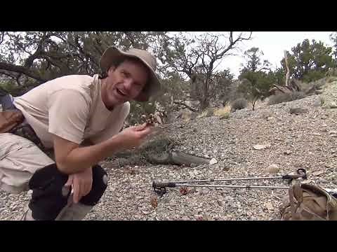 M Cave, Kenny Veach's last video, before he went missing.