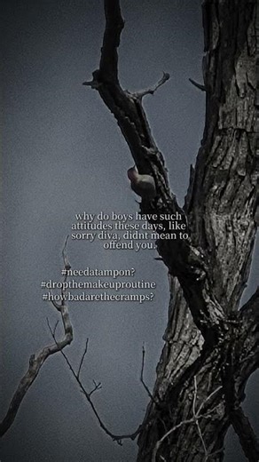 literally like sorry for crushing your fragile masculinity not my problem