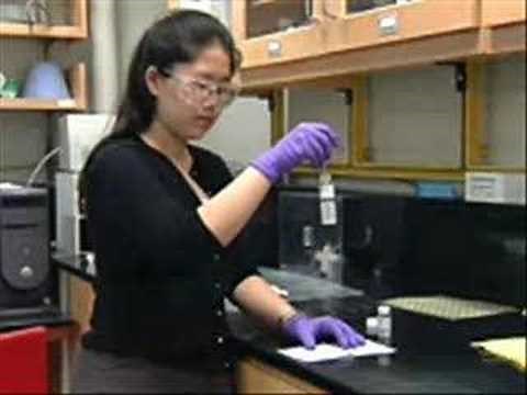 Liquid Bullet-Proof Armour