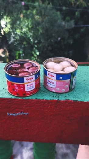 Mini Gulab Jamun & Mini Rasgulla of Gits by Zepto #diwali #food #shorts