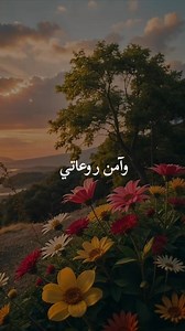 Hanen Hanen on Reels