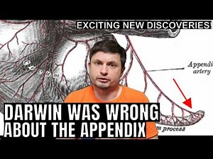 We Were Wrong About the Human Appendix For Over 150 Years