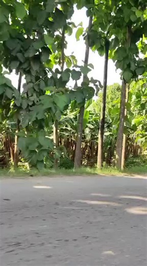 Videos de germán (@germanchillogalli) con “Por Ti Llorando - Roberto Zumba”