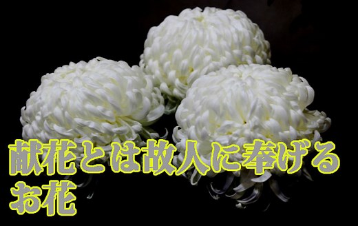 献花のマナー｜献花の作法を動画でも解説しています ｜ お葬式の先生