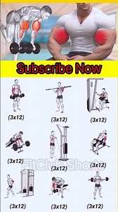 Daily Gym Routine for Fast Results | No Excuses #fitness #gymworkout #shorts