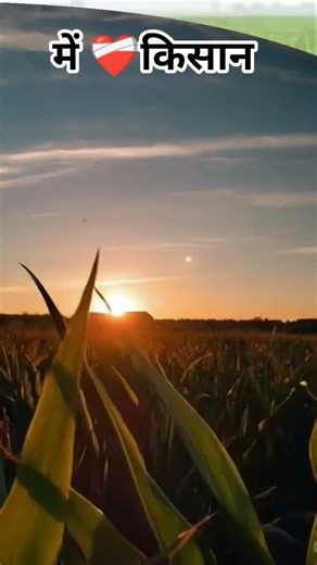 farming 🌾 Love and किसान