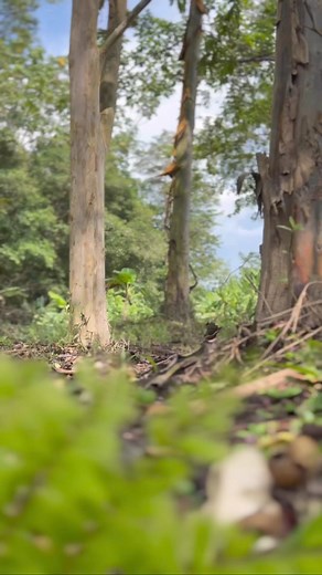 1.1M views · 27K reactions | Dos mochos en acción  #superacion #viralvideoシ #reelsviralシ #motivation #discapacidad #humor #comedia | Carnada de tiburon | Facebook