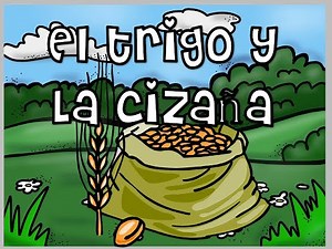 Parábola "EL TRIGO Y LA CIZAÑA"