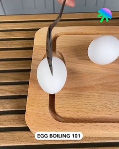 Egg Boiling 101 | Science Room
