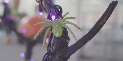 Klehm Arboretum ‘spooks’ up fun with the return of Eerie Autumn Lights