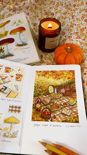 Laura Travelbook sur TikTok