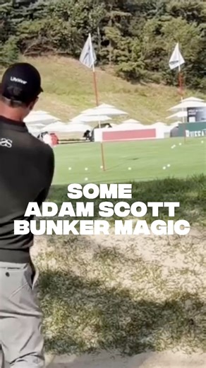 Adam Scott Bunker Practice 🏖️ Adam Scott hitting a series of bunker shots in practice. Just watching how he approaches different shots and experiments in the sand. What do you notice? #adamscott #golf #golfswing #golflife #golfswingpractice #golfaddict #golfstagram #golfcoaching⛳ #golfcourse #golfcoach #golfclub #golftips #golftip #golftipsdaily #golfpro #golflessonsneeded #golflesson | David Leathem Golf Tips