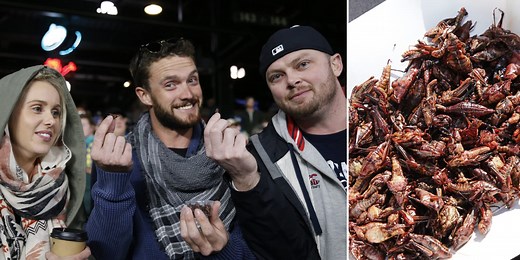 Mariners' famed park food: Grasshoppers?