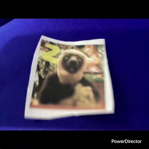 Zoboomafoo Theme Song (1998)