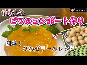 【５分で解説】ビワのコンポートの作り方、コンポートを使ったビワゼリーの簡単レシピもご紹介します