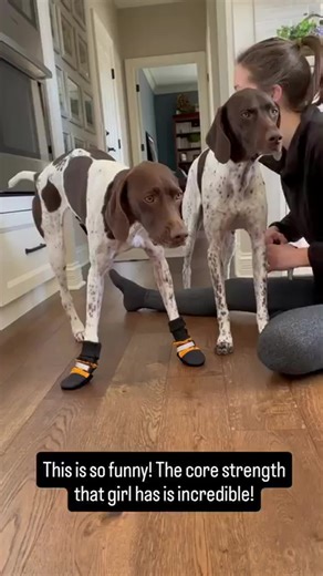 This is so funny! The core strength that girl has is incredible! | German Shorthaired Pointer Lover’s