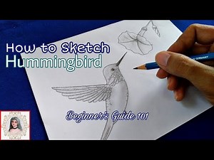 How to Draw a Hummingbird Step by Step Easy for Beginners - Without using a Circle - Pencil Drawing