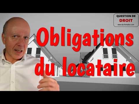Bail d'habitation : obligations du locataire