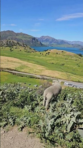 When the view's this good, there's no sharing #wanaka #travel #explore #beautifuldestinations #hike