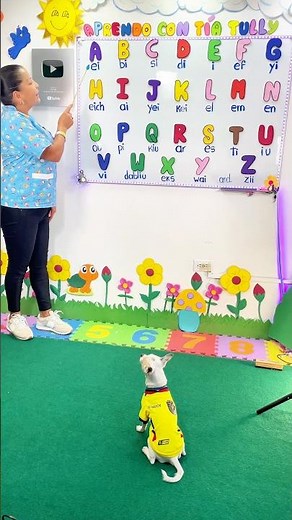 ¡Aprende el abecedario en inglés con Tía Tully! 🎶