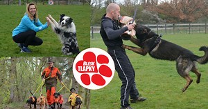 Festival Blesk tlapek se rychle blíží: 7 hodin zábavy a soutěží pro páníčky i jejich psí parťáky