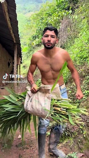 Alimentando los cuis 🐹