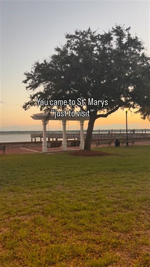 You came to St. Marys “just to visit”… and now you’re casually judging other towns for having - too many lanes - too much traffic - not enough porch-sitting potential It happens fast here. One minute it’s a weekend trip. The next it’s “Should we look at homes while we’re in town?” St. Marys has that effect. If you’ve ever thought “I could actually live here”, you’re not alone. Save this post and come back when that thought gets louder. | St Marys Realty