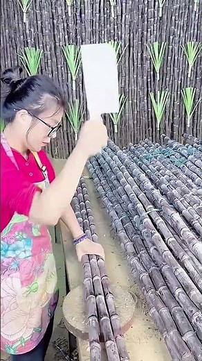 Cutting process of fresh sugarcane into sections