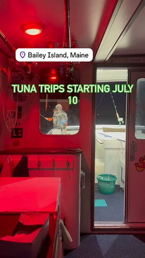 Tyler McLaughlin on Instagram: "Tuna trips Bailey Island Maine July 10 to August 28 th. $2000 books the entire boat bring up to 6 people full day making memories 🍍🇺🇸🐟"