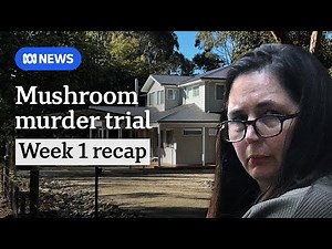 What happened at Erin Patterson's mushroom murder trial this week | ABC News