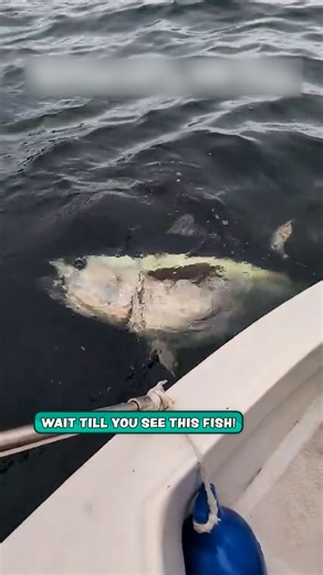 I can't get over how big they are 😮 | Furry Tails