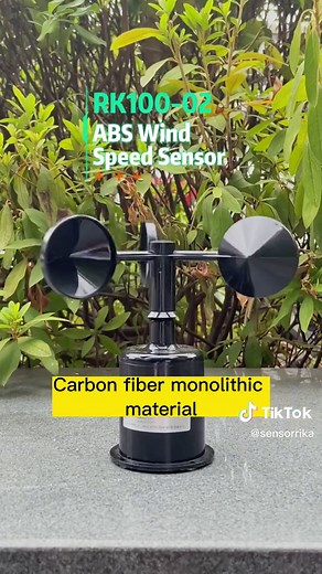 Sensor de velocidad y dirección del viento Rika