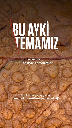 106K views · 301 reactions | Hafif rüzgar, sıcak tonlar… Sonbahar, anılarınızı yakalamak için mükemmel bir mevsim. ​ Bu ayki temamız Sonbahar & Lifestyle fotoğraflar!​ #CanonTürkiye etiketiyle canonturkiye Instagram sayfamızı mention’layarak en güzel karelerini bizimle paylaş, seçilen kareleri sayfamızda yayınlayalım! ✨ | Canon Türkiye | Facebook